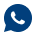 WhatsApp Icon